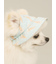 【CAT&DOG】ハット