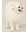 【CAT&DOG】ハット
