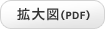 放大图像 (PDF)